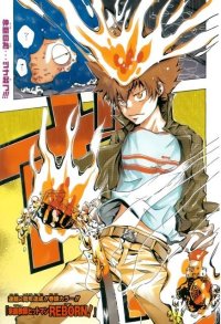 BUY NEW reborn - 104478 Premium Anime Print Poster